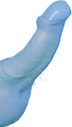 an erect penis-tinted blue