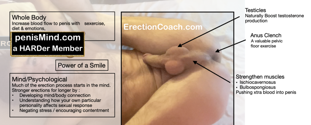 man laying on back with legs over his head for a view ofmale pelvic floor